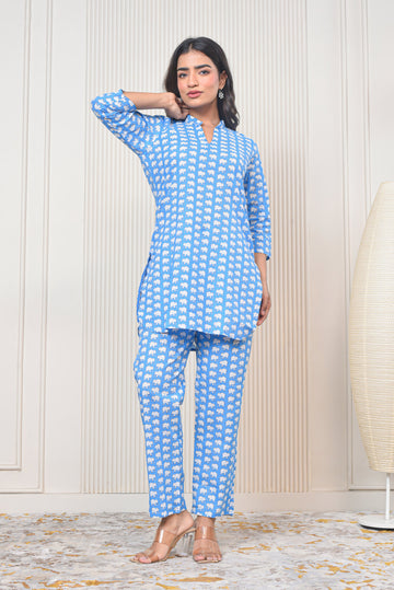 Blue Bird Coord Set
